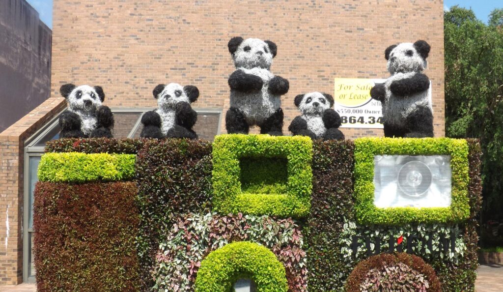 A family of topiary pandas sits atop a replica of a camera.