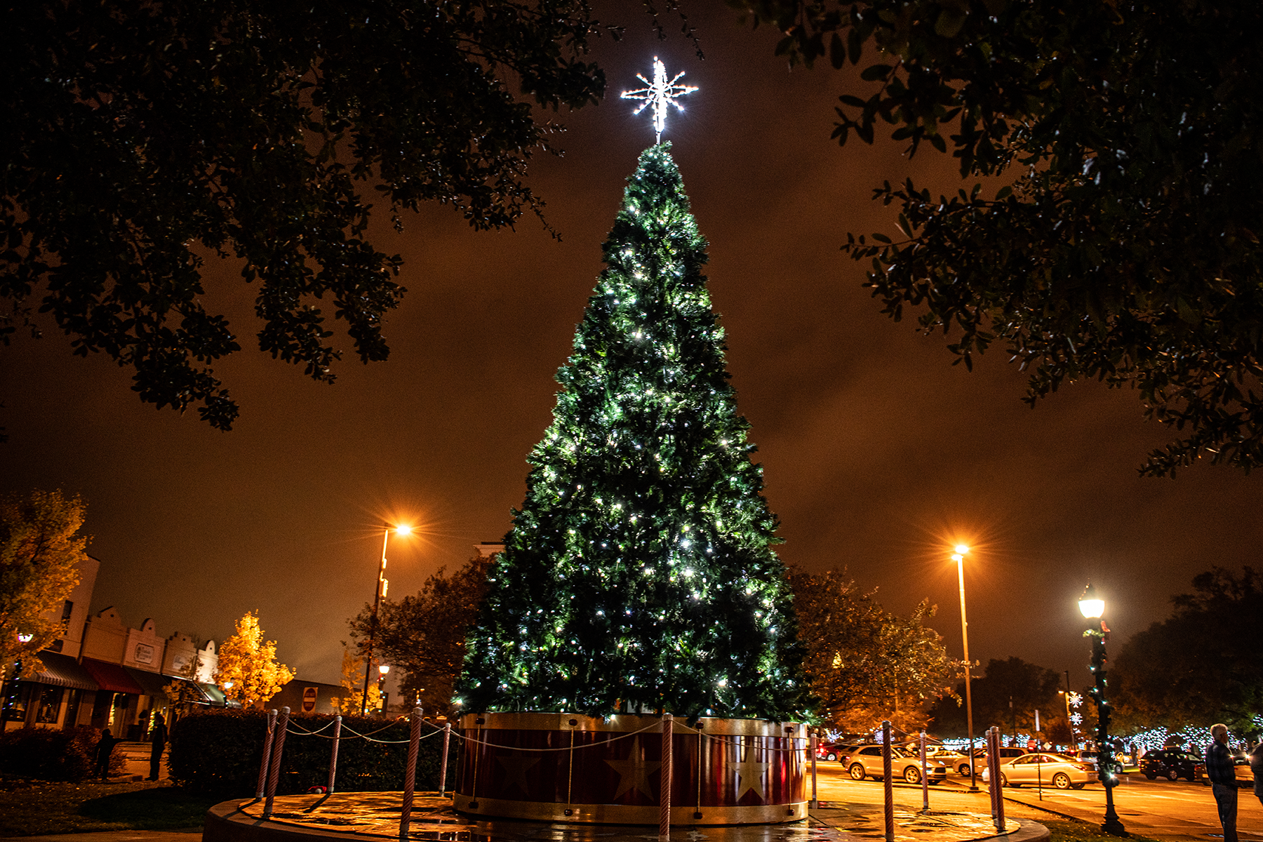 Celebrate the Season of Joy in Greenwood