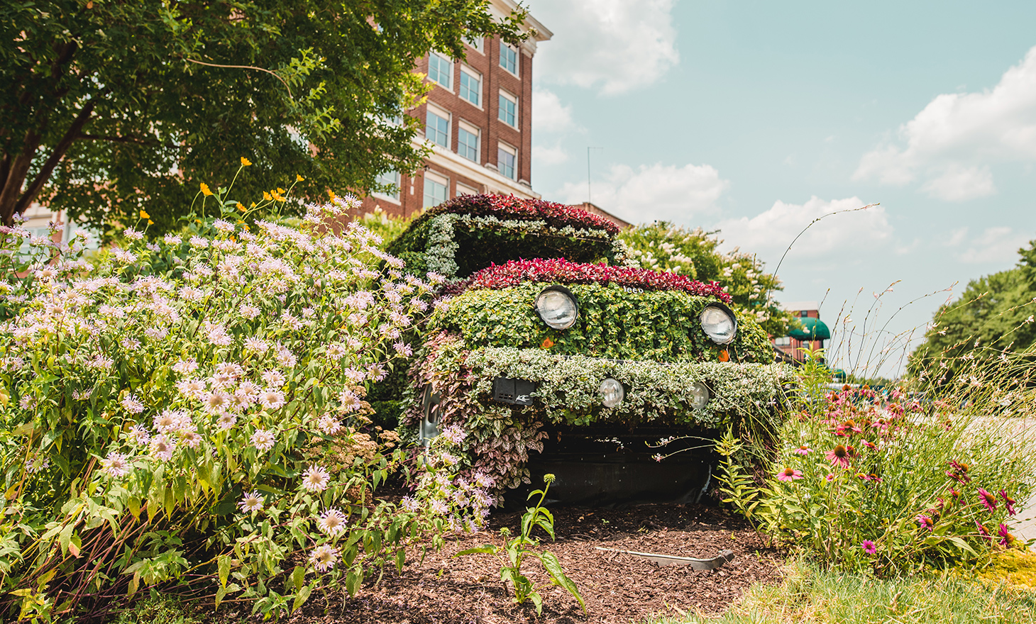 Topiary of a vehicle at the Festival of Flowers.